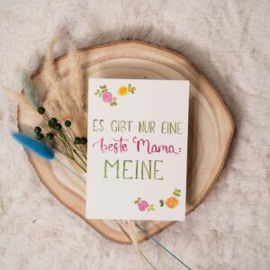 Neuheiten + Saisonales